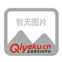 塑料打火機(jī)、金屬打火機(jī)、廣告打火機(jī)、磨砂打火機(jī)(圖)